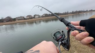 Breaking In a Brand New Reel! (2024 Shimano Vanford 3000)