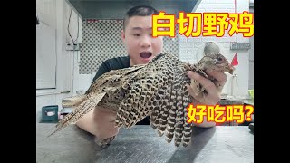 钟师傅：白切野鸡，真的好吃吗？ pheasant