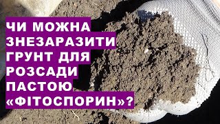 Чи можна знезаразити грунт для розсади пастою \