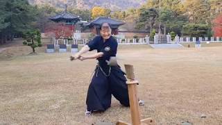 Tameshigiri Korean Sword,  katana japan sword Test 고려 도검 진검, 일본도style 검 베기  테스트 .