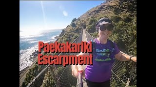 Te Araroa: The Paekākāriki Escarpment Track