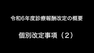 令和6年度診療報酬改定の概要　個別改定事項（２）