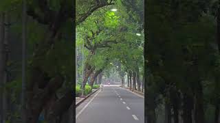 এমন রাস্তা রাজশাহী ছাড়া নাই... #reelschallenge #rajshahi #reels #shortsviral #shorts #viralvideo