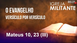 O evangelho versículo por versículo - Mateus 10, 23 (III) - Igreja Militante - 01/01/2025