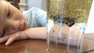 Easy Science Experiments for Kids - Oil and Water Color
