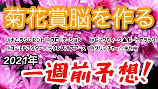 【菊花賞 2021/一週前予想】大得意の菊花賞がやってきた！今年も菊花賞脳を作り完全的中を目指す！！【3歳牡馬クラシック展望】