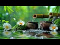 Relaxing Music to Relieve Stress, Anxiety And Depression • Mind, Body & Soul Healing