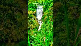 ［隱藏的情意（Hidden Affection）］~ 鄧麗君（Teresa Teng）/ 三貂嶺合流瀑布（Converging Waterfall of Sandiaoling）