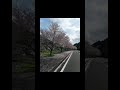 🇯🇵 熊本県水俣市🌻🍒🎆🙌🏡『四季～美しき、くぎのの桜並木🌸🍒🍀🍑👪👦👧🎊🌿🙌～』