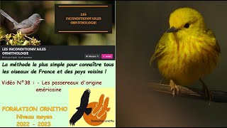 Oiseaux de France 38 : les passereaux américains