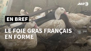 Le foie gras français se porte bien malgré l'interdiction new-yorkaise et les végans | AFP News