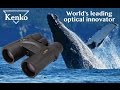 Kenko - Leading Optical Innovator