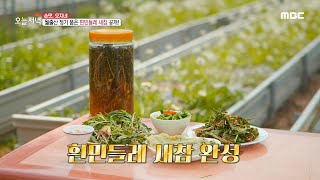 [생방송 오늘 저녁] 월출산 정기 품은 '흰민들레 새참' 공개!, MBC 210414 방송