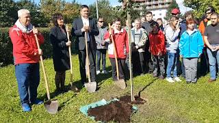 VDC_KRANJ_ENO Tree Planting Day 21 Sep 2017