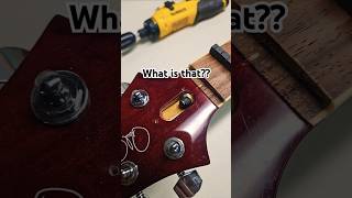 What is on that Truss Rod??