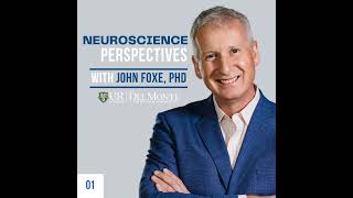 NeURoscience Perspectives: Steve Petersen, PhD