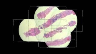 Use Cases - Microscope Stitching - Bundle Adjustment
