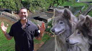 Come with me on a full tour of our new Wolf Hybrid Center