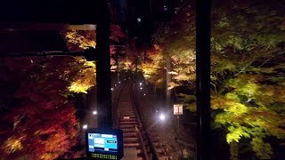 叡山電鉄 二ノ瀬～市原間「もみじのトンネル」前面展望　きらら車内より 　Tunnel of the maples, Eizan Railway, Kyoto　(2019.11)