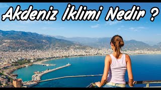 Akdeniz İklimi Nedir ? | TYT