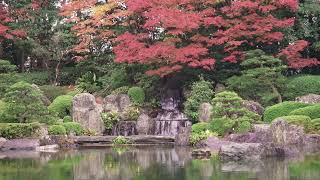 [Japanese Garden] Relaxing Zen Music 24/7, Stress Relief Music, Sleep, Meditation