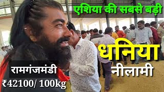 Asia's Largest Coriander Market | Coriander Auction | Ramganjmandi | Kota | India