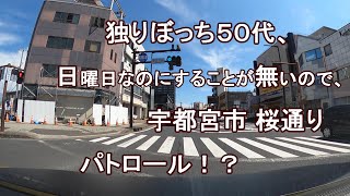 独りぼっち５０代、日曜日なのにすることが無いので、宇都宮駅市 桜通り パトロール！？