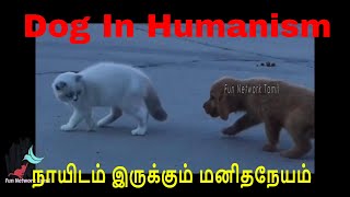 Dog In Humanism நாயிடம் இருக்கும் மனிதநேயம்