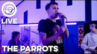 The Parrots - Maldito (Live) | SOUNDER SESSION  | Arcus Sounds Studio