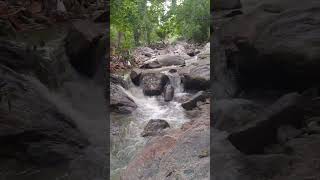 Beauty of nature#falls#denkanikottai#tamilnadu#fresh mind every day youtube channel