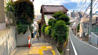 Tokyo Walk: Mejiro To Edogawa Bridge #japan #4k #walkthrough