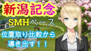 ２０１９新潟記念！スタポケの『シミュレース』を使って、レース展開からの穴馬を！【シミュレーション】スターホースポケット