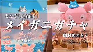 【開封動画】今度はどんぐり共和国のメイガニガチャを買ってみました