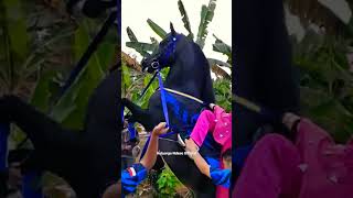 Jumat Barokah Kuda Victory Makin Bersinar standing horse #dancehorse #kudajingkrak #arakarakan