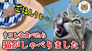 【はっきりしゃべる猫】好物を沢山食べたらあまりの美味さにしゃべり出す