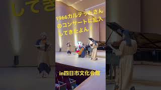 【クラシックもいけるよん】こにゅうどうくんが1966カルテットさんのコンサートに乱入！？#shorts #こにゅうどうくん #1966カルテット