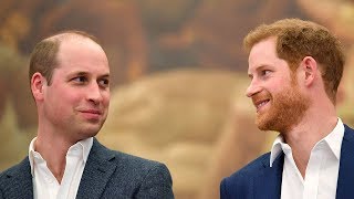 Prince Harry: William and I on 'different paths' but I love my brother