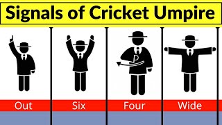 signals of cricket umpire | cricket umpire signals | signals used by umpire in cricket | umpire
