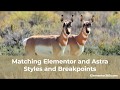 Match Elementor and Astra Styles and Breakpoints