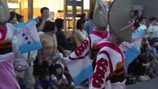 2013久米川阿波踊り大会　飛舞枝　流し１