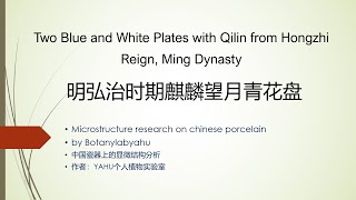 [ 瓷器微观结构 ]   Two Blue and White Plates with Qilin from Hongzhi Reign, Ming Dynasty | 明弘治时期麒麟望月青花盘