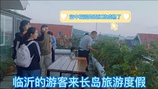 八月底的烟台长岛景区，游客依然火爆，老三码头迎接临沂的客人