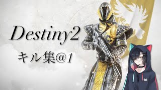 【Destiny2】vP初心者によるキル集@1