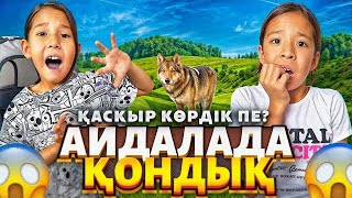 АЙДАЛАДА ҚОНАМЫЗ😱| ӘКЕМІЗ БІЗГЕ ҚОРҚЫНЫШТЫ ПРАНК ЖАСАДЫ😨😳😱#рекомендации