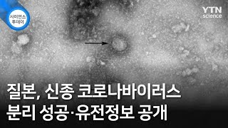 질본, 신종 코로나바이러스 분리 성공·유전정보 공개 / YTN 사이언스