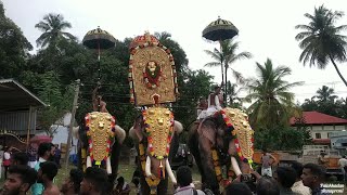 തടത്താവിള രാജശേഖരൻ || മഹാദേവൻ || ശിവക്കുട്ടി || 🥰⚡🔥ഇരട്ടക്കുളം മാരിയമ്മൻ പൂജ മഹോത്സവം 2023