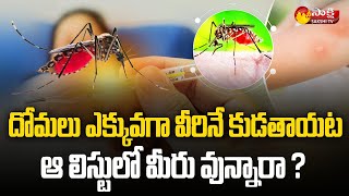 దోమలు ఎక్కువగా ఎవరిని కుడతాయే తెలుసా.?| Mosquitoes are Likely to Bite These Kind of People| Sakshi