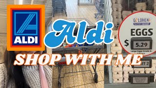 Shopping At Aldi / Can’t believe how much I spent // Come Shop With Me