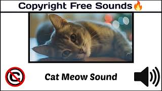 Cat Meow Sound / Popular Animal Sound / #nocopyright /[ Copyright Free Animal Sounds ]