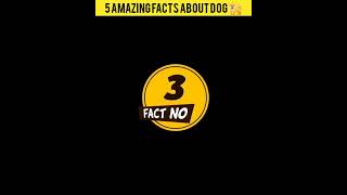 5 Amazing Facts About Dog | Facts About Dog | Amazing Facts In Hindi | #short #facts #shorts